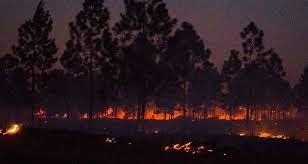 Detrás de cada incendio hay una negligencia (+ Audio)