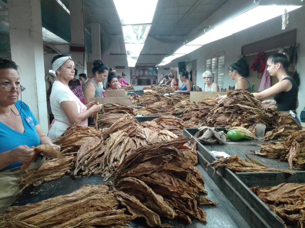 foto de hoy mujer tabaco cabaiguan