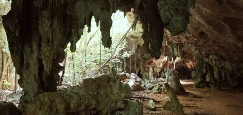 Sierra de Las Damas: naturaleza y patrimonio (+Audio)