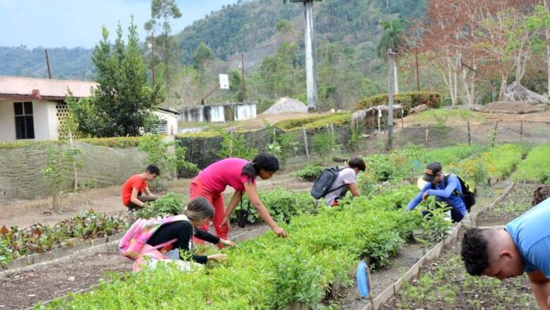 Centro Mixto Irael Rives Carpio de Fomento: una escuela con resultados por todo lo alto