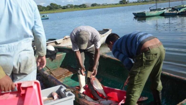 Sancti Spíritus: ¿Hay o no peces en la presa Zaza?