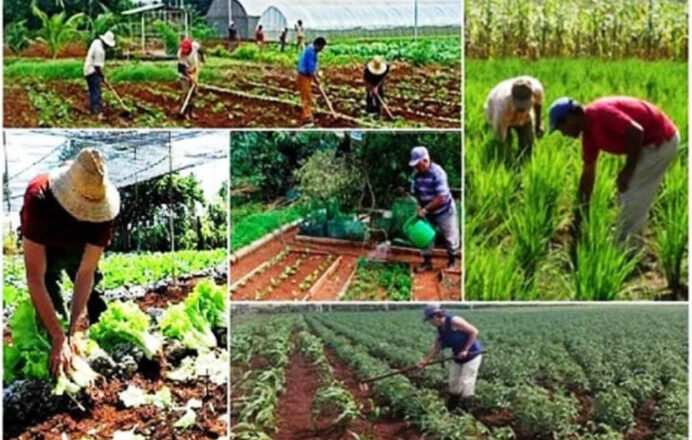 Cabaiguán alista celebración por el Día del Campesino (+ Audio)