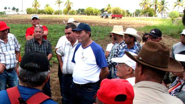 Un canto a la producción en Cabaiguán (+Fotos)