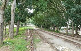 La línea del ferrocarril