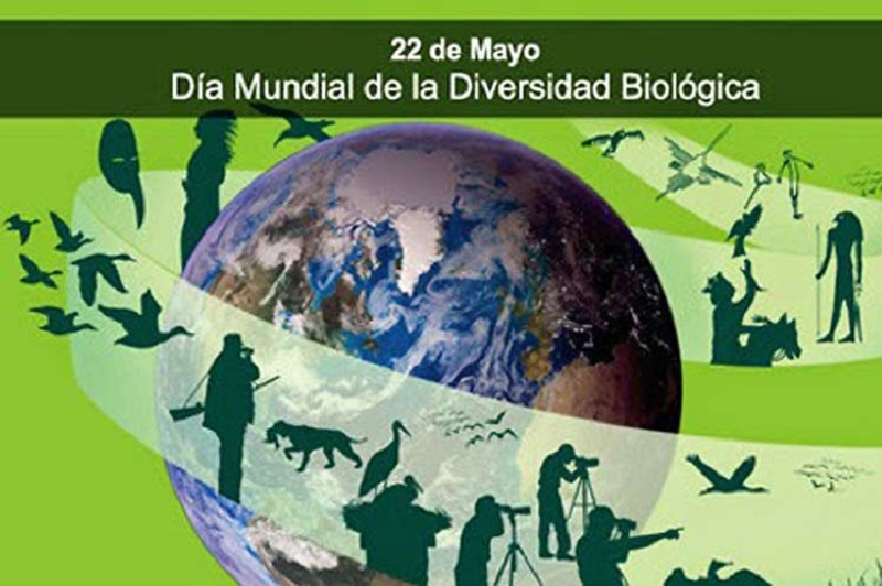 UNCb 33343125 dia diversidad biologica