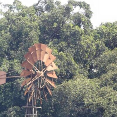 El molino de viento: común en los campos cabaiguanenses