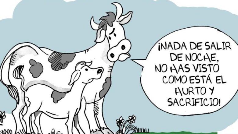 En ascenso hurto y sacrificio de ganado mayor en Cabaiguán