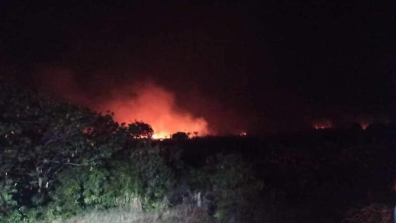 Controlan incendio en los alrededores de la central eléctrica de Moa