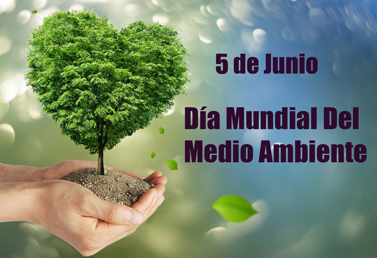 Medio Ambiente