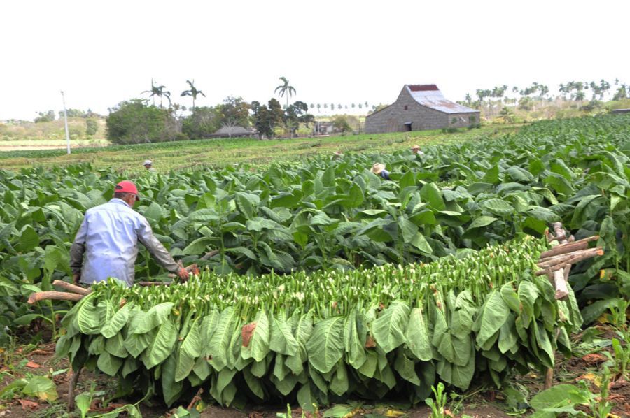 1 CCS Horacio GonzalezCabaiguan 9