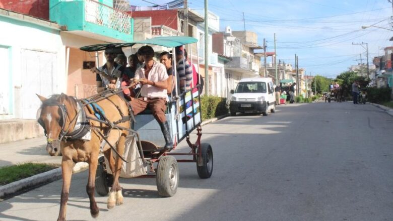 Coches al libre albedrío