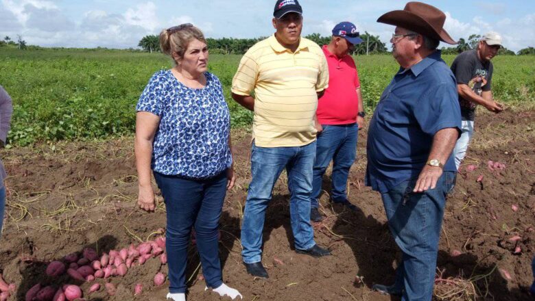 Chequean autoridades de la provincia programa de producción de alimentos en Cabaiguán (+ Fotos)