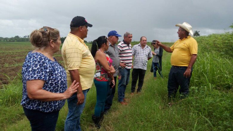 Deivy Pérez Martín en Cabaiguán: “Cuando se impone la voluntad hay un resultado productivo” (+ Audio y Fotos)