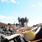 Concluyó con éxito en Cabaiguán Campaña de Declaración Jurada del sector cañero (+Audio)