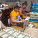 Muestra indicadores de eficiencia producción de tabaco torcido en la provincia