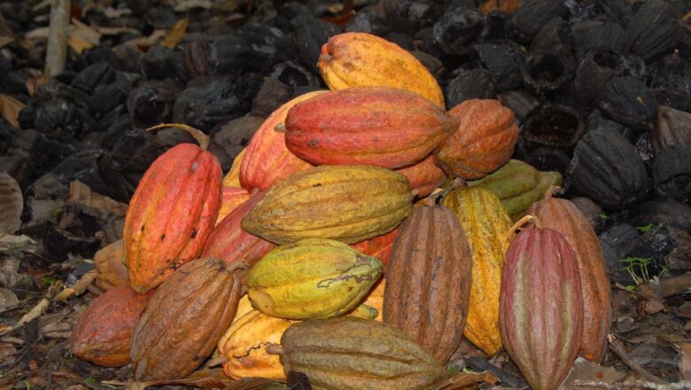 El Cacao desembarcó por Cabaiguán