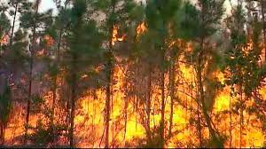 Priorizan en Cabaiguán enfrentamiento a incendios forestales