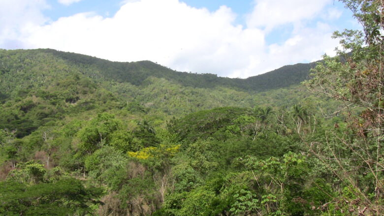 Vivencias del Che en el Escambray y su vínculo con la guerrilla cabaiguanense