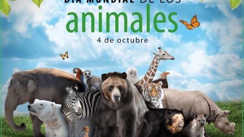 Día Mundial de los animales, una oportunidad para demostrarles nuestro respeto