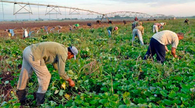 Agricultura