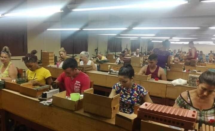 Evalúan de Aceptable Control Interno en Empresa Tabaco Torcido Sancti Spíritus (+Audio)