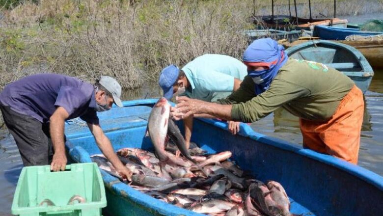 Acuicultores espirituanos en Bastión Pesquero