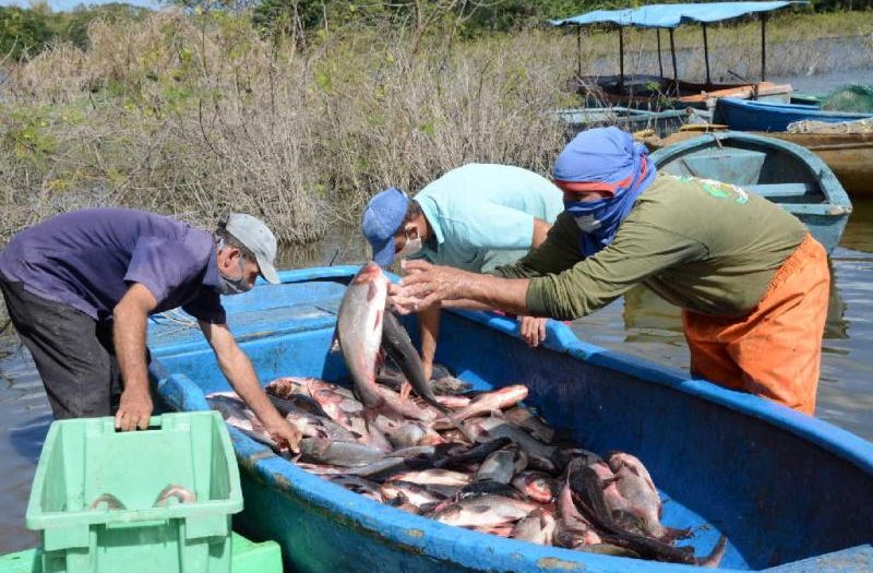 pescadores Brito 800x525 1