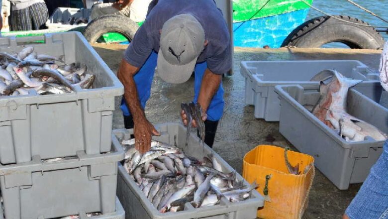 Pescadores del sur espirituano buscan alternativas para incrementar las capturas