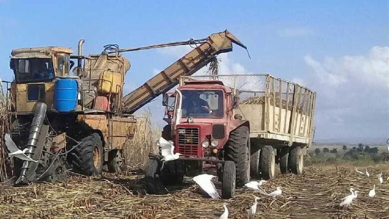 Listo pelotón cañero de la CPA 1 de Enero de Neiva para el inicio de la zafra azucarera