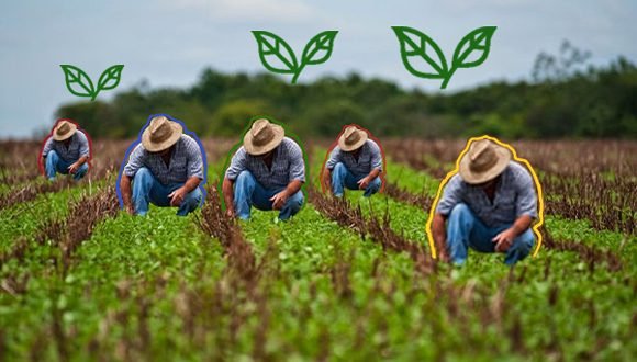 La mediación arriba a las cooperativas agropecuarias con su nueva norma jurídica