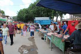 Se alista agricultura cabaiguanense para feria de fin de año (+Audio)