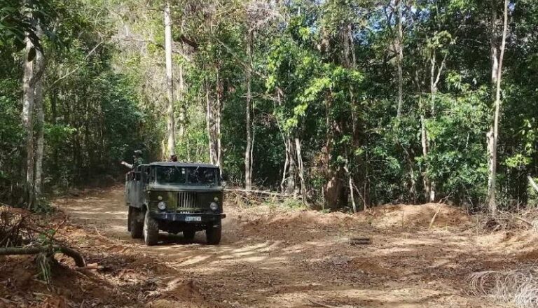 Por un ejercicio forestal con más eficiencia