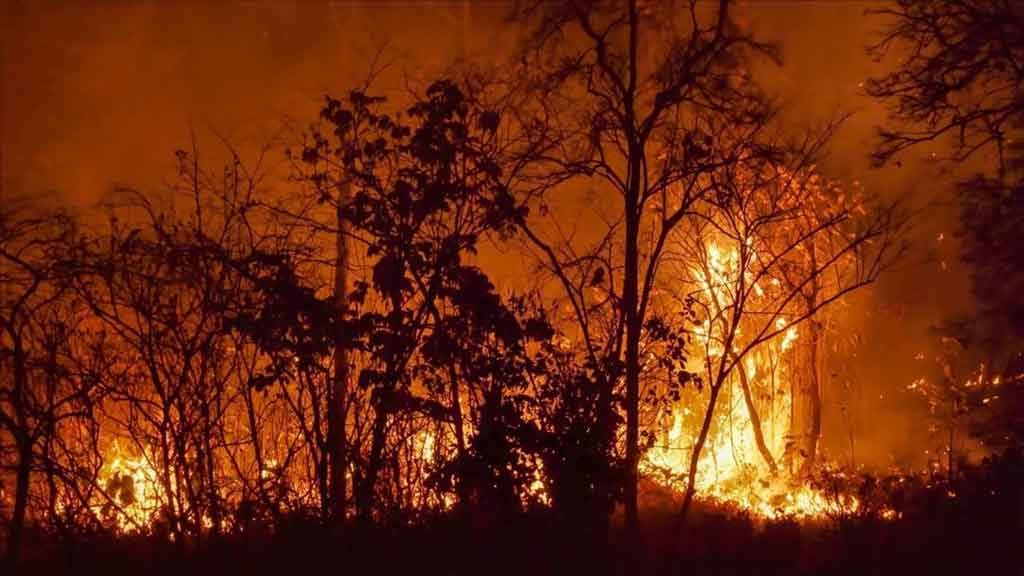 Incendios Chile muertos