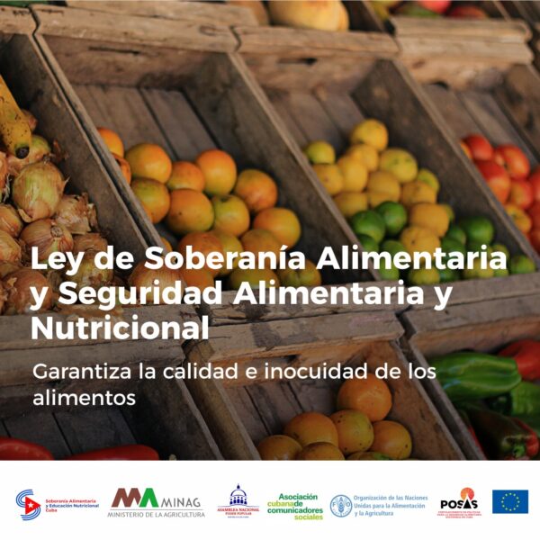 Aprueba Consejo de la Administración Municipal de Cabaiguán Proyecto Iniciativa local para contribuir a la seguridad alimentaria y nutricional