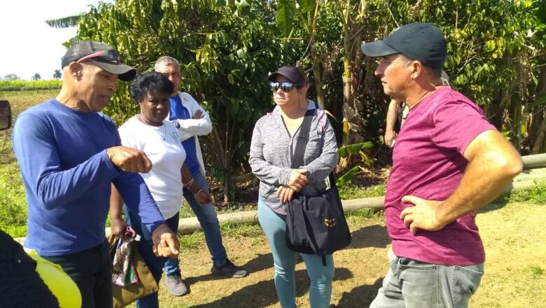 Realizaron en Cabaiguán Encuentro Provincial de Agroecología (+Fotos)