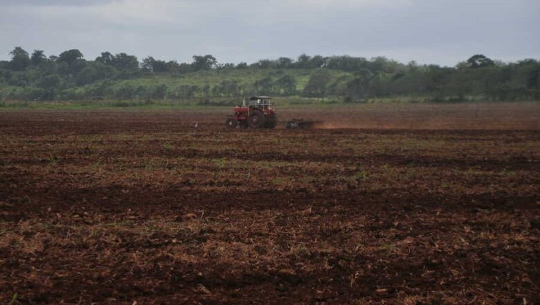 Yaguajay está en campaña de siembra de primavera