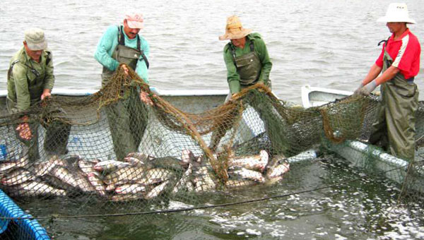 Día del Trabajador de la Industria Pesquera: Otros tiempos, igual esfuerzo