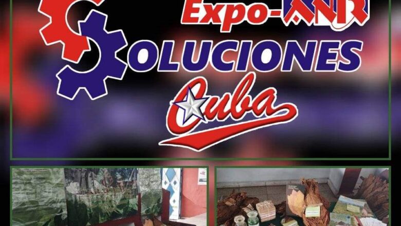 Participan innovadores de la experimental del tabaco de Cabaiguán en EXPOANIR Soluciones Cuba 2024 en Sancti Spíritus (+Fotos)
