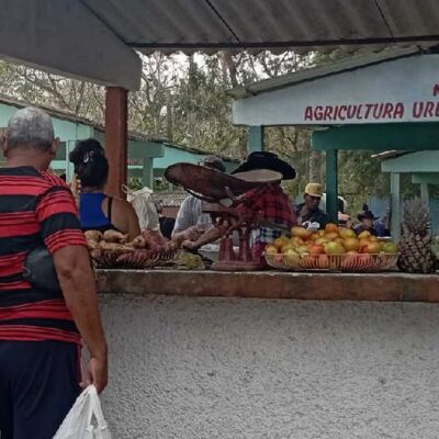 Feria Agropecuaria de Sancti Spíritus reordena los horarios de entrada y salida de mercancías