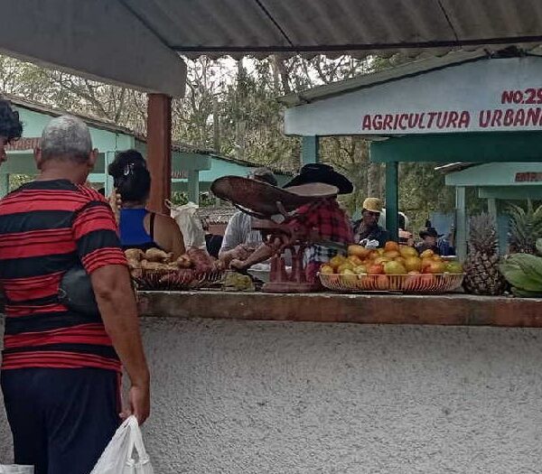 Feria Agropecuaria de Sancti Spíritus reordena los horarios de entrada y salida de mercancías