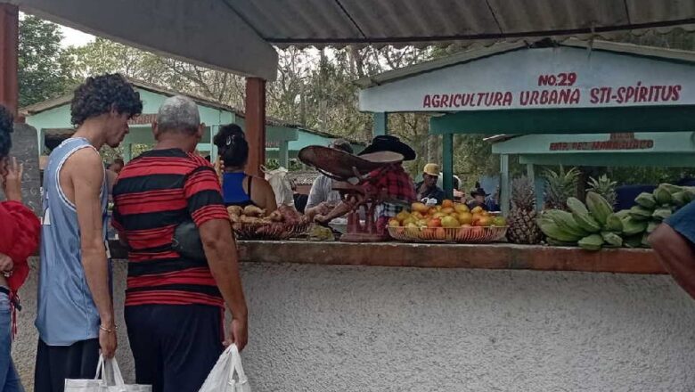 Feria Agropecuaria de Sancti Spíritus reordena los horarios de entrada y salida de mercancías