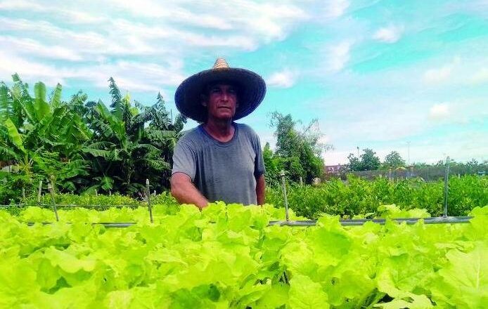 Agricultura Urbana en Sancti Spíritus: con El Estadio de bote en bote