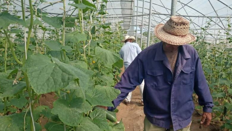 Programa Nacional de Transición Ecológica llega a Trinidad