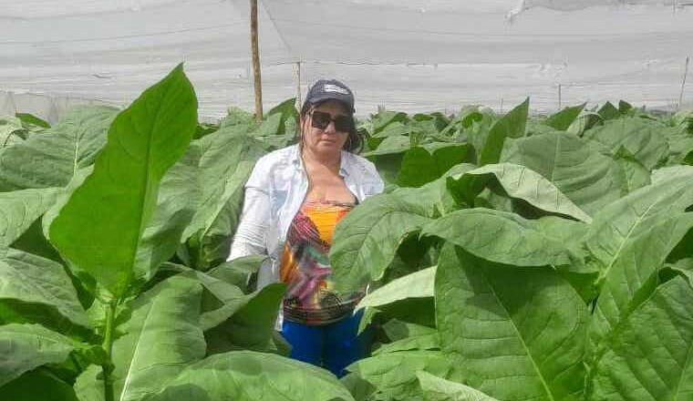 Alzaron sus voces mujeres campesinas empoderadas en asamblea de la ANAP de Cabaiguán (+Audio)