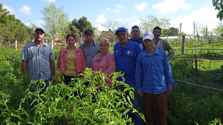 Autoridades políticas y gubernamentales de Cabaiguán chequean programas de la agricultura en el municipio (+Fotos)
