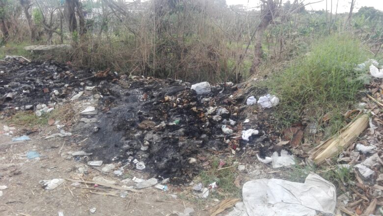 Nerón anda suelto en Cabaiguán, pero no ha llegado a los bosques