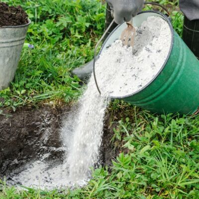 Ceniza vegetal: recurso natural por excelencia para las plantas