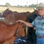 José Antonio Rodríguez García: Hay que enamorarse de la ganadería