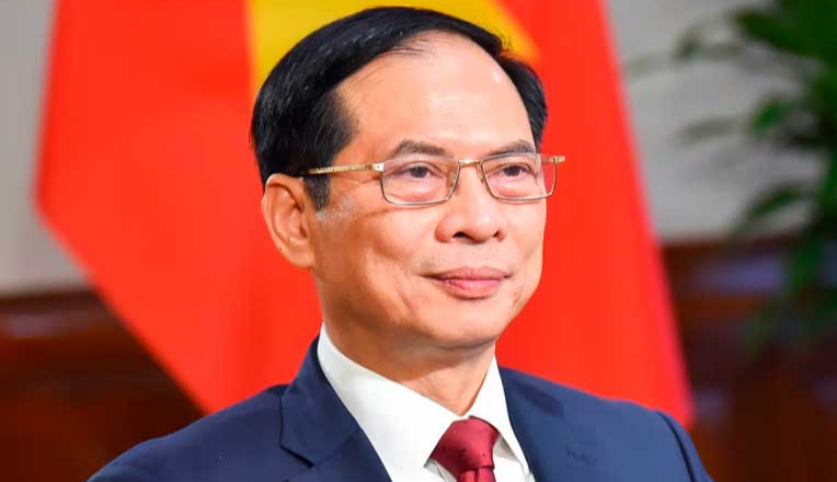 Vietnam: Canciller anticipa rotundo éxito a visita de Xi Jinping