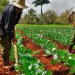 17 de Mayo: una fecha para homenajear a nuestros campesinos (+Fotos)